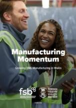 Manufacturing Momentum