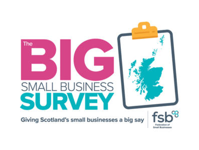 The Big Small Business Survey