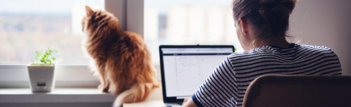 Woman using a computer with a cat