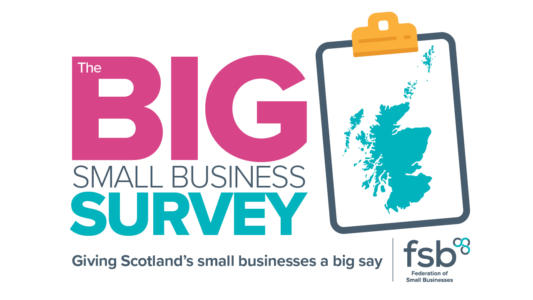 Big Small Business Survey
